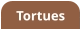 Tortues